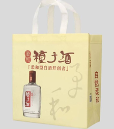 &#20080;&#29699;&#45;&#20080;&#29699;&#65288;&#20013;&#22269;&#65289;